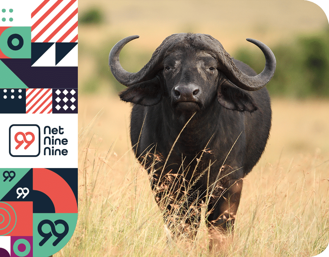 Tell the world about Net Nine Nine's fast fibre packages, get unlimited data internet at 100Mbps download and 100Mbps upload from only R699 per month